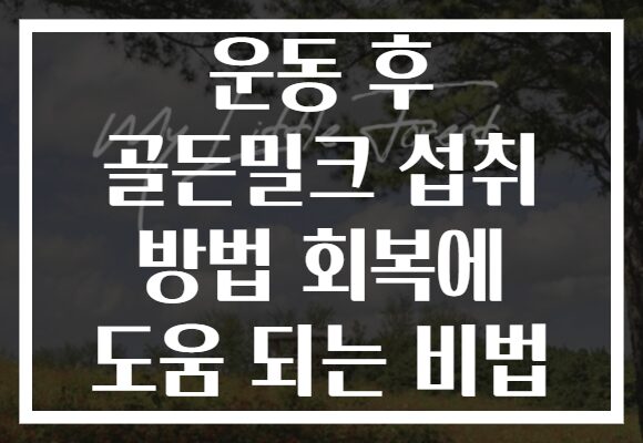 운동 후 골든밀크 섭취 방법 회복에 도움 되는 비법