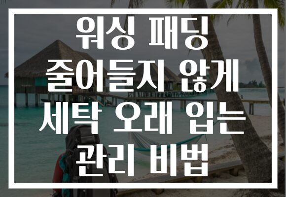 워싱 패딩 줄어들지 않게 세탁 오래 입는 관리 비법
