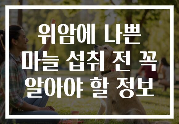 위암에 나쁜 마늘 섭취 전 꼭 알아야 할 정보