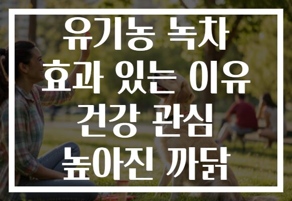 유기농 녹차 효과 있는 이유 건강 관심 높아진 까닭
