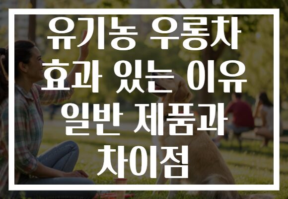 유기농 우롱차 효과 있는 이유 일반 제품과 차이점