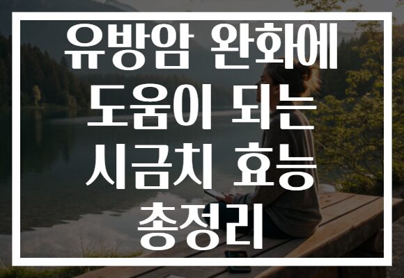 유방암 완화에 도움이 되는 시금치 효능 총정리
