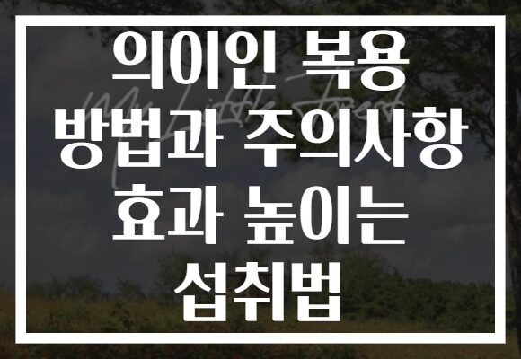 의이인 복용 방법과 주의사항 효과 높이는 섭취법