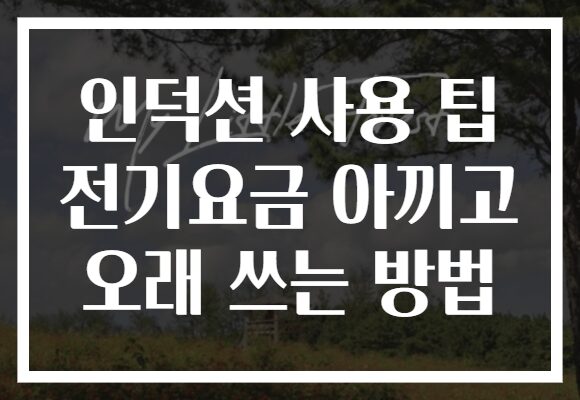 인덕션 사용 팁 전기요금 아끼고 오래 쓰는 방법