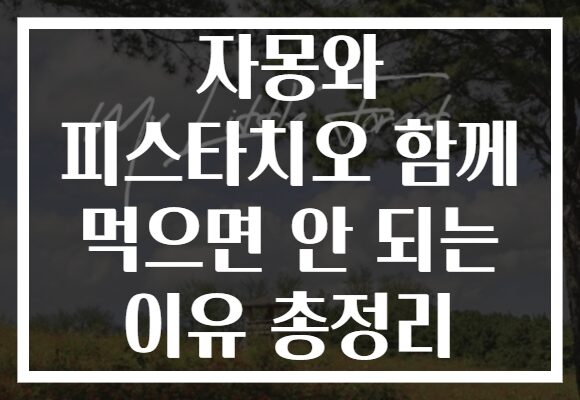 자몽와 피스타치오 함께 먹으면 안 되는 이유 총정리