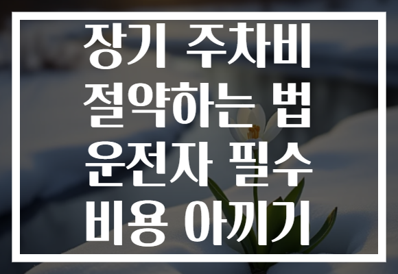 장기 주차비 절약하는 법 운전자 필수 비용 아끼기