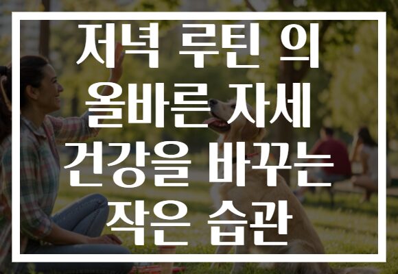 저녁 루틴 의 올바른 자세 건강을 바꾸는 작은 습관