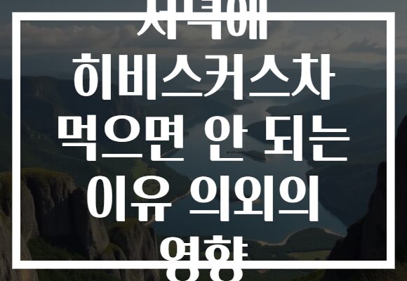 저녁에 히비스커스차 먹으면 안 되는 이유 의외의 영향