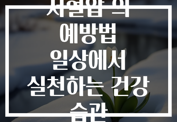 저혈압 의 예방법 일상에서 실천하는 건강 습관