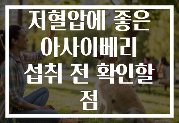 저혈압에 좋은 아사이베리 섭취 전 확인할 점