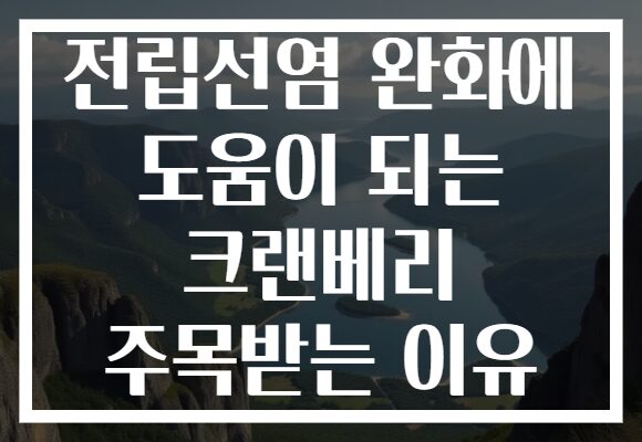 전립선염 완화에 도움이 되는 크랜베리 주목받는 이유