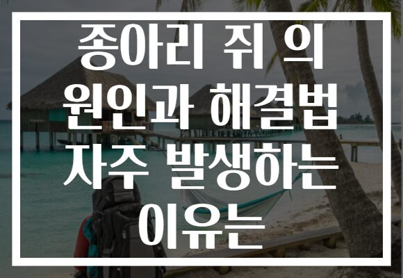 종아리 쥐 의 원인과 해결법 자주 발생하는 이유는