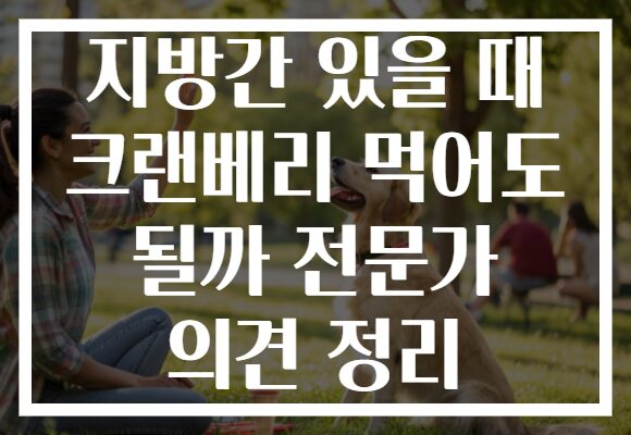 지방간 있을 때 크랜베리 먹어도 될까 전문가 의견 정리