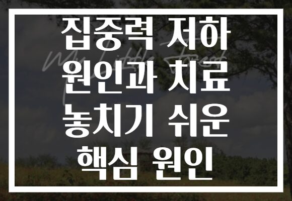 집중력 저하 원인과 치료 놓치기 쉬운 핵심 원인