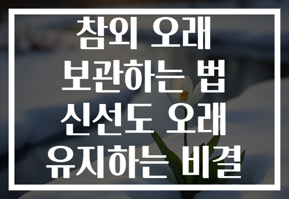 참외 오래 보관하는 법 신선도 오래 유지하는 비결