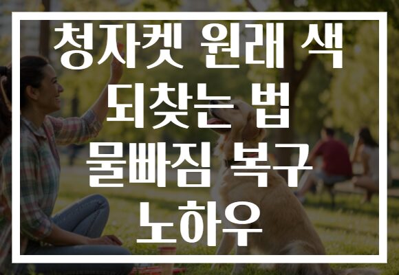 청자켓 원래 색 되찾는 법 물빠짐 복구 노하우