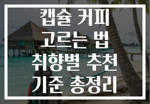 캡슐 커피 고르는 법 취향별 추천 기준 총정리