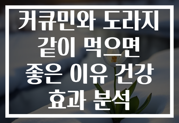 커큐민와 도라지 같이 먹으면 좋은 이유 건강 효과 분석