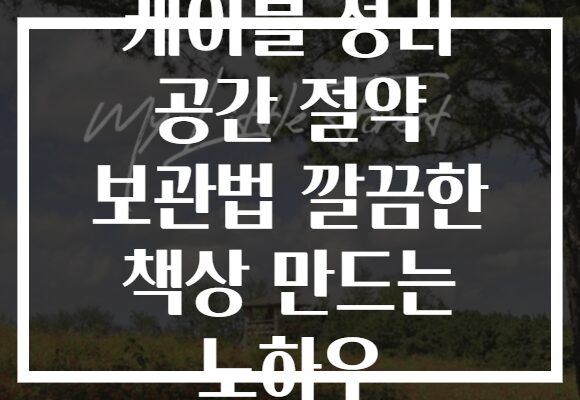 케이블 정리 공간 절약 보관법 깔끔한 책상 만드는 노하우