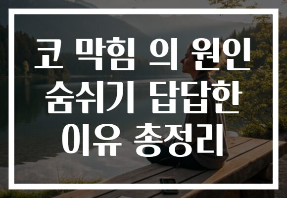 코 막힘 의 원인 숨쉬기 답답한 이유 총정리