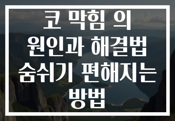 코 막힘 의 원인과 해결법 숨쉬기 편해지는 방법