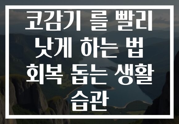 코감기 를 빨리 낫게 하는 법 회복 돕는 생활 습관