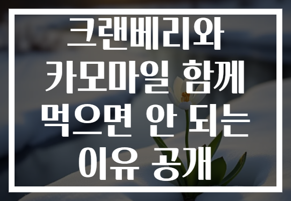 크랜베리와 카모마일 함께 먹으면 안 되는 이유 공개