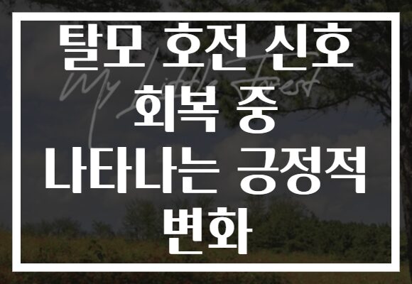 탈모 호전 신호 회복 중 나타나는 긍정적 변화