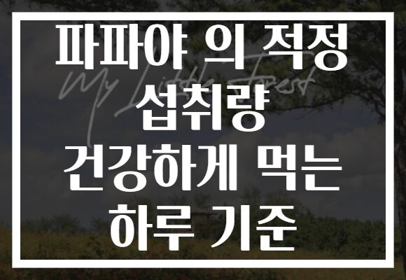 파파야 의 적정 섭취량 건강하게 먹는 하루 기준