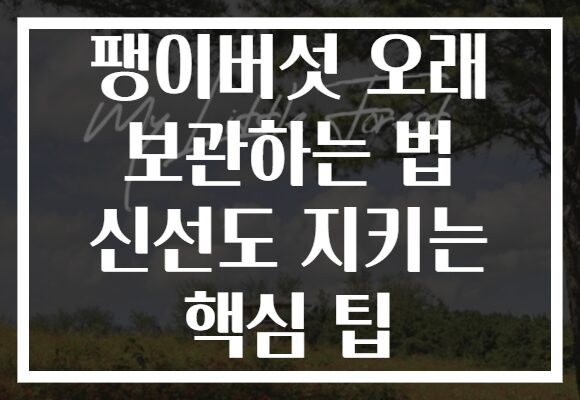 팽이버섯 오래 보관하는 법 신선도 지키는 핵심 팁