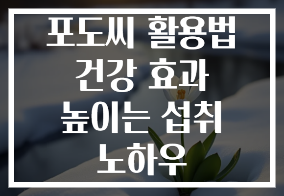 포도씨 활용법 건강 효과 높이는 섭취 노하우