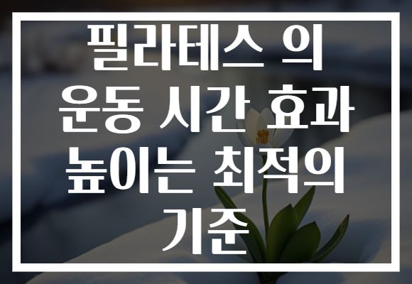 필라테스 의 운동 시간 효과 높이는 최적의 기준