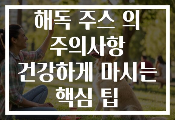 해독 주스 의 주의사항 건강하게 마시는 핵심 팁