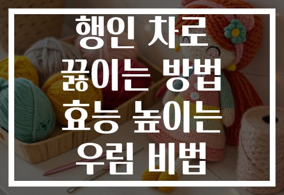 행인 차로 끓이는 방법 효능 높이는 우림 비법