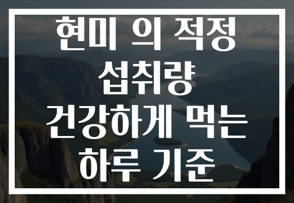 현미 의 적정 섭취량 건강하게 먹는 하루 기준