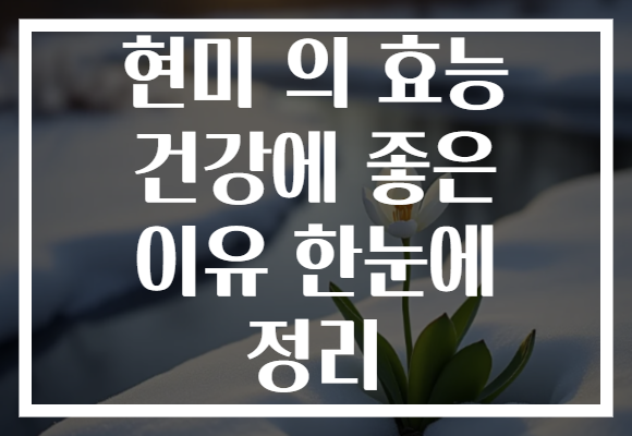 현미 의 효능 건강에 좋은 이유 한눈에 정리