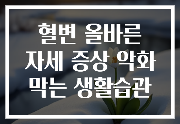 혈변 올바른 자세 증상 악화 막는 생활습관