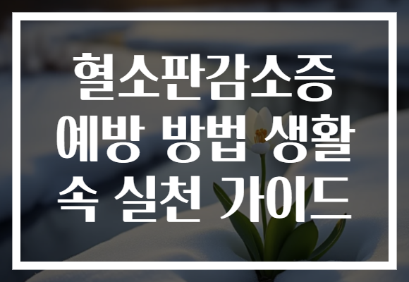 혈소판감소증 예방 방법 생활 속 실천 가이드