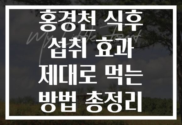 홍경천 식후 섭취 효과 제대로 먹는 방법 총정리