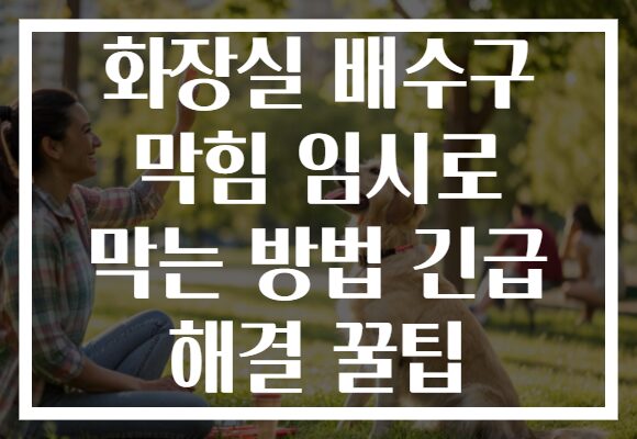 화장실 배수구 막힘 임시로 막는 방법 긴급 해결 꿀팁