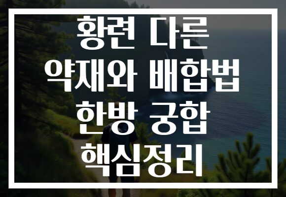 황련 다른 약재와 배합법 한방 궁합 핵심정리