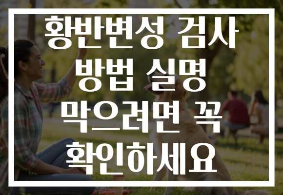 황반변성 검사 방법 실명 막으려면 꼭 확인하세요
