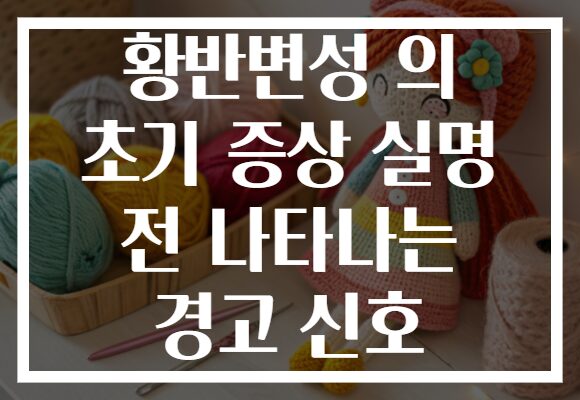 황반변성 의 초기 증상 실명 전 나타나는 경고 신호