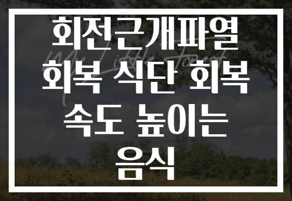 회전근개파열 회복 식단 회복 속도 높이는 음식