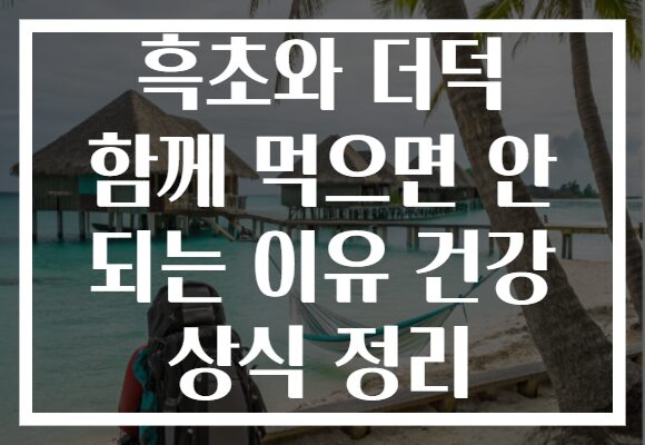 흑초와 더덕 함께 먹으면 안 되는 이유 건강 상식 정리