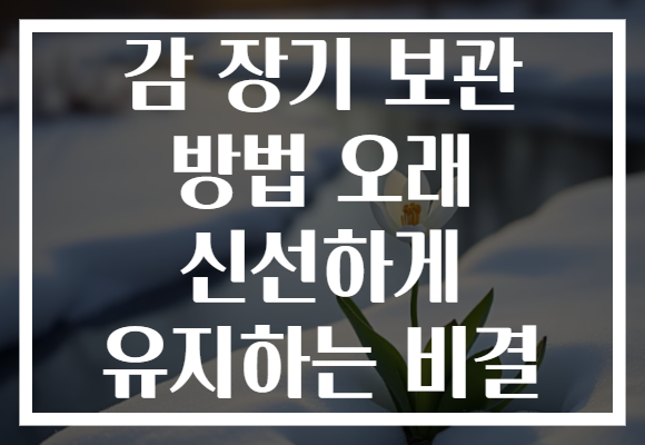 감 장기 보관 방법 오래 신선하게 유지하는 비결