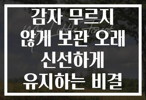 감자 무르지 않게 보관 오래 신선하게 유지하는 비결