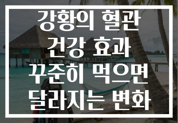 강황의 혈관 건강 효과 꾸준히 먹으면 달라지는 변화