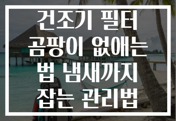 건조기 필터 곰팡이 없애는 법 냄새까지 잡는 관리법