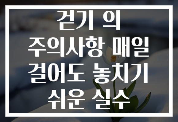 걷기 의 주의사항 매일 걸어도 놓치기 쉬운 실수